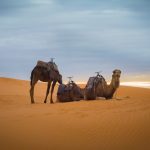 Comment la culture du voyage élargit nos horizons