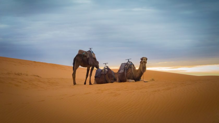 Comment la culture du voyage élargit nos horizons