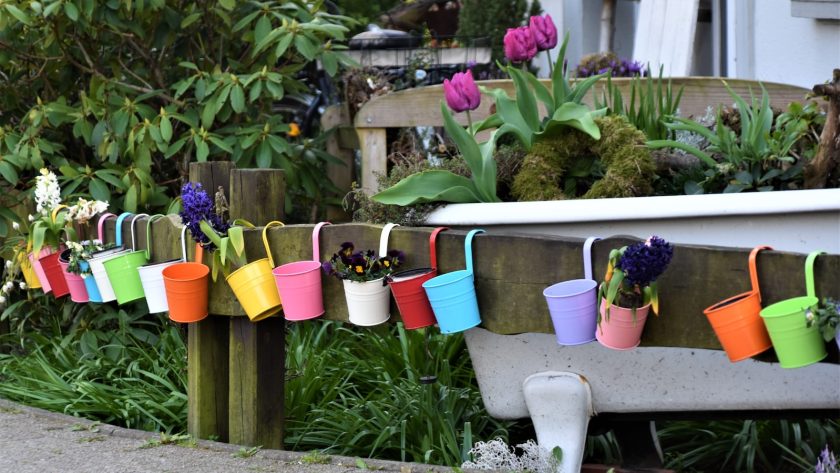L’art du jardinage : créer des paysages artistiques dans votre jardin