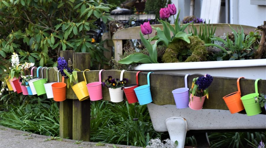 L’art du jardinage : créer des paysages artistiques dans votre jardin
