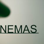 Comment le cinéma explore-t-il des thèmes culturels importants