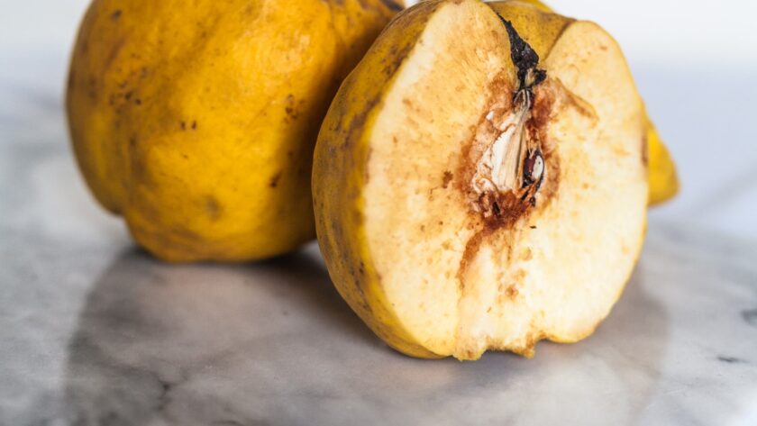 L’art culinaire : quand la gastronomie devient une œuvre d’art